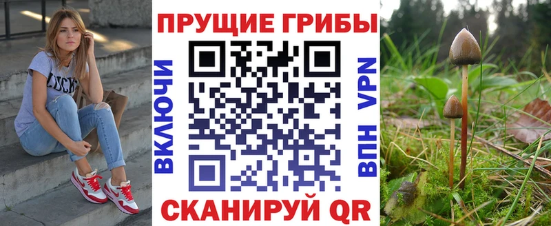 Галлюциногенные грибы мицелий  Краснотурьинск 
